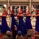 bot garden christma 2016